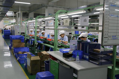美智 品質與技術雙輪驅動，以服務爭做行業先鋒