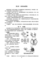 食品機械第五章 面食品成型與包裝機械的協同發展